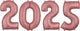 2025 Anagram Numbers Kit - Rose Gold 26″ Balloon