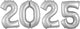 2025 Anagram Numbers Kit - Silver 34″ Balloon