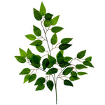 26″ Ficus Leaves Spray 1 Spray