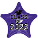 Class of 2023 - Purple 19" Balloon