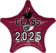 Class of 2025 - Berry 19" Balloon