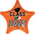 Class of 2025 - Orange 19" Balloon