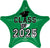 Class of 2025 - Green 19" Balloon