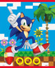 Sonic The Hedgehog Loot Favor Bags (8 count)