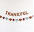 Thankful Leaf Felt Garland by Unique from Instaballoons