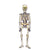 35″ Skeleton Hanging Decoration