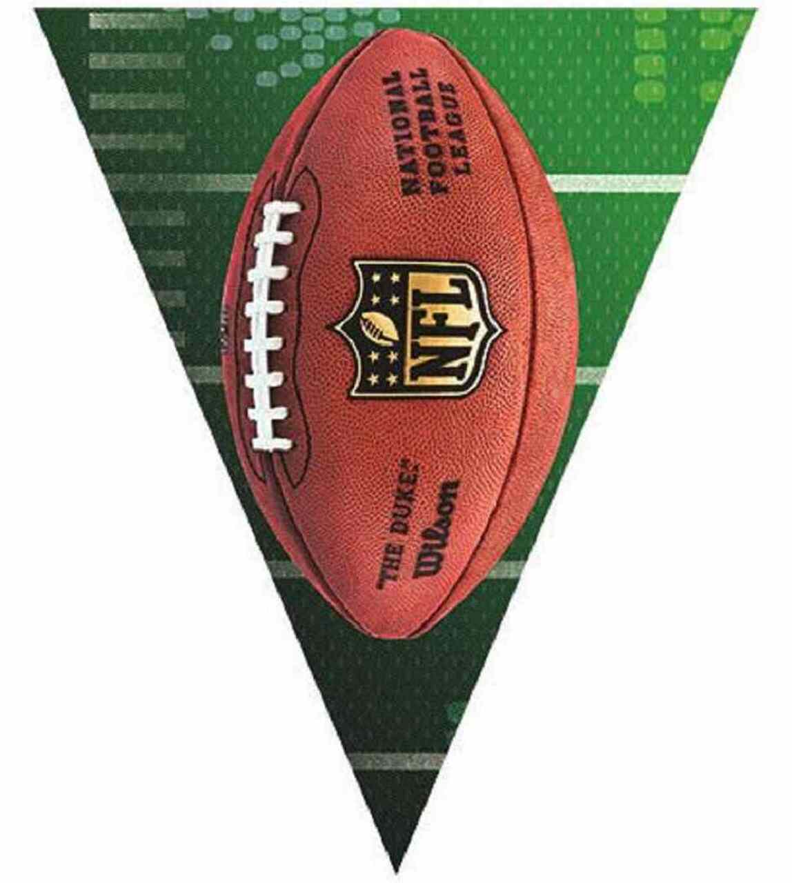 Nfl Mini Pennant 