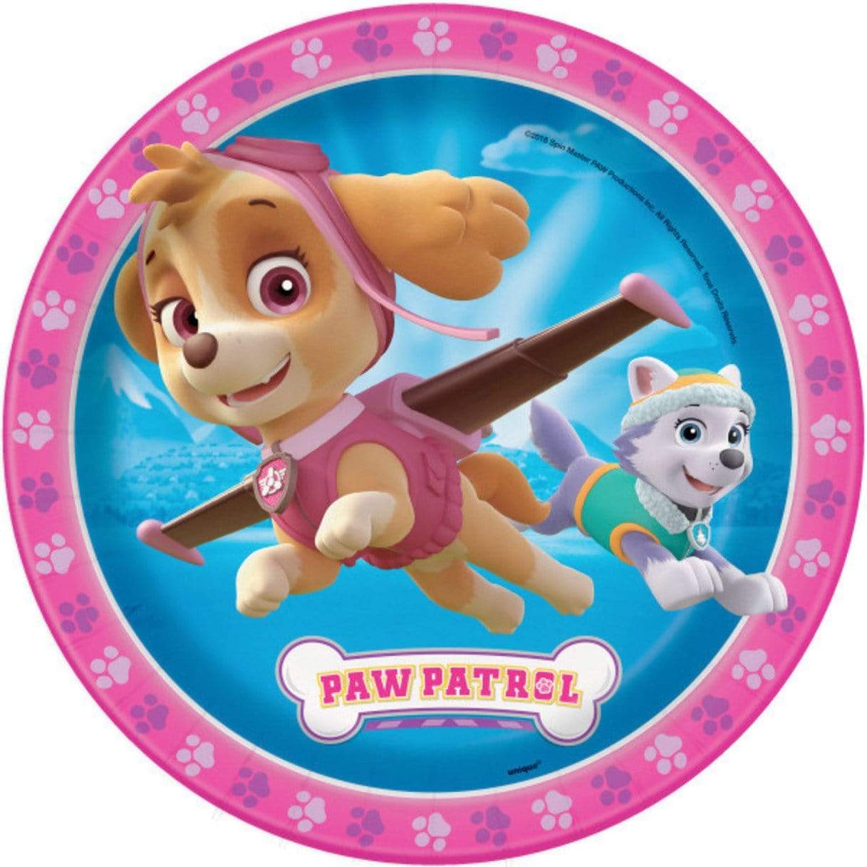 https://www.instaballoons.com/cdn/shop/products/unique-party-supplies-paw-patrol-girl-9in-plates-9-8-count-15113955246169.jpg?v=1609304116